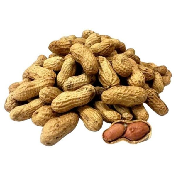 groundnut